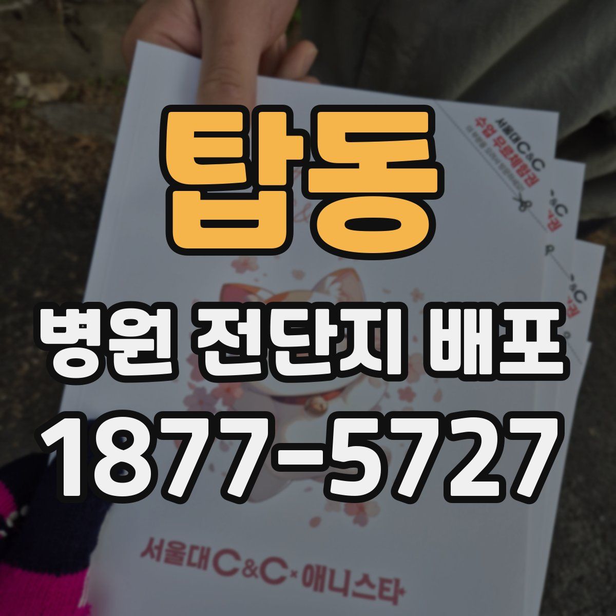 탑동 병원 전단지 배포