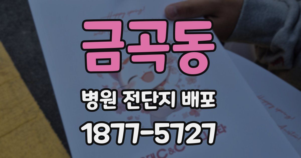 금곡동 병원 전단지 배포