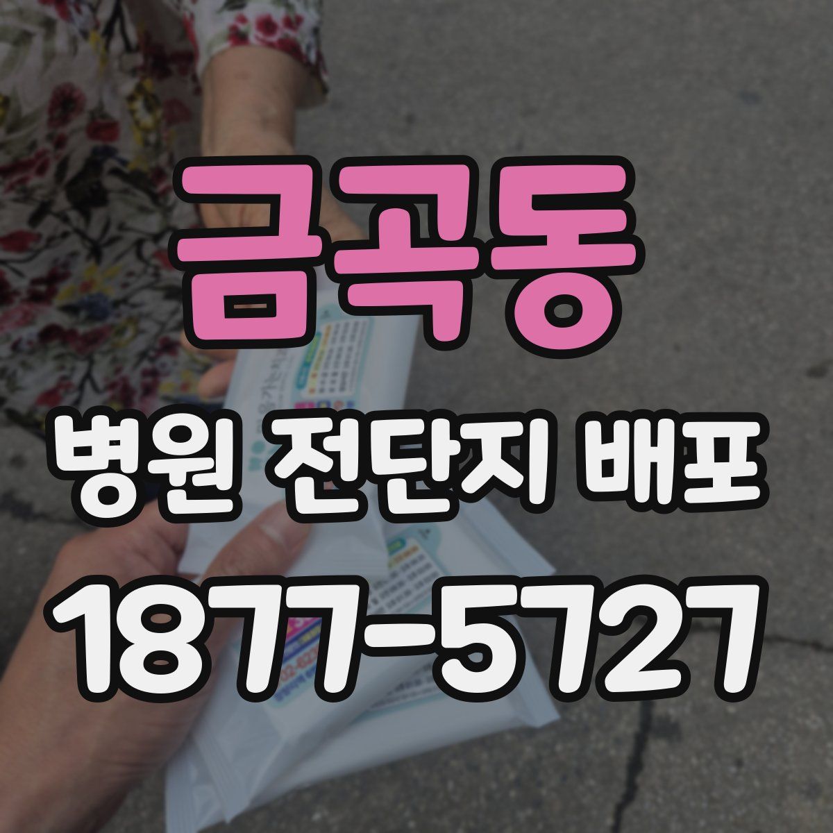 금곡동 병원 전단지 배포