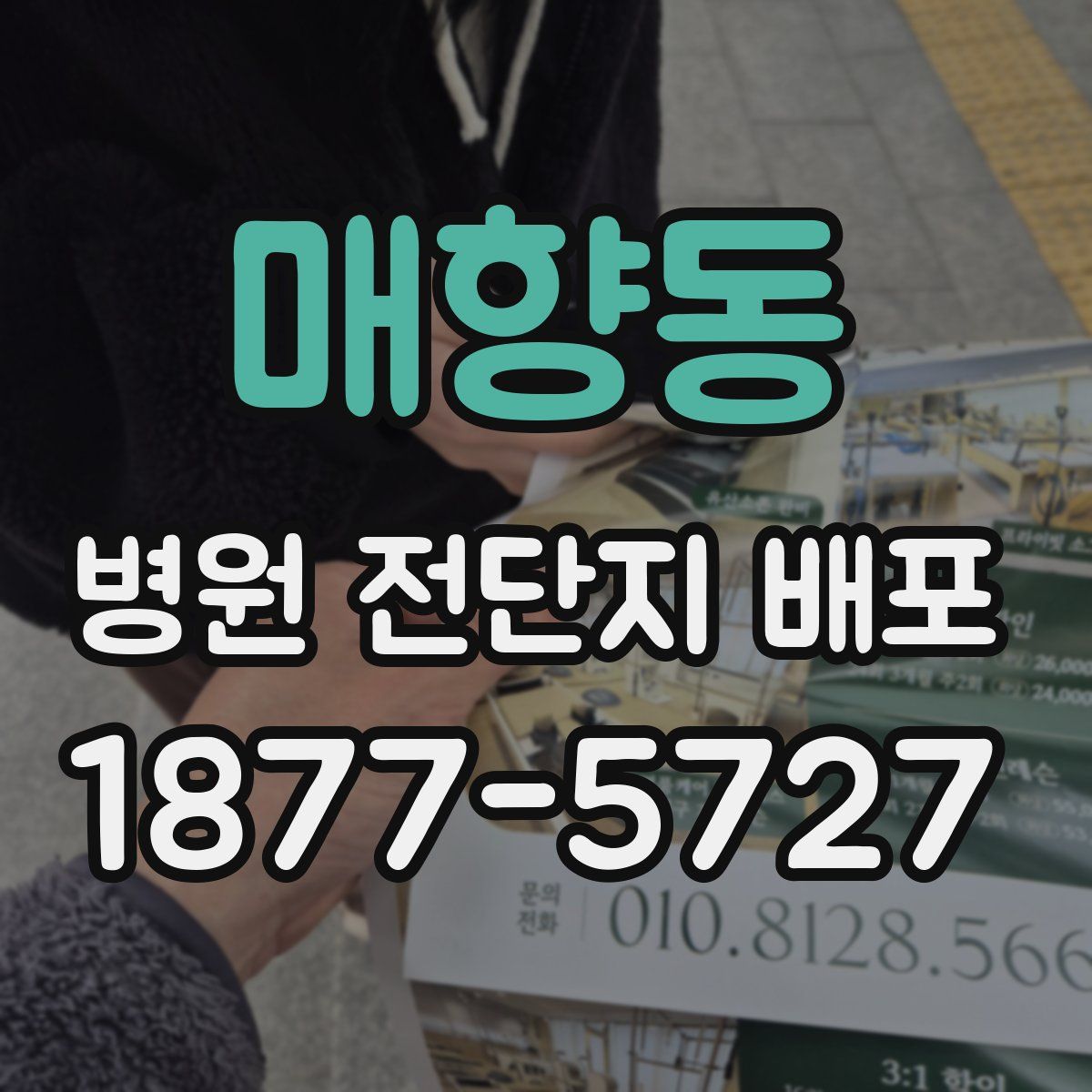 매향동 병원 전단지 배포