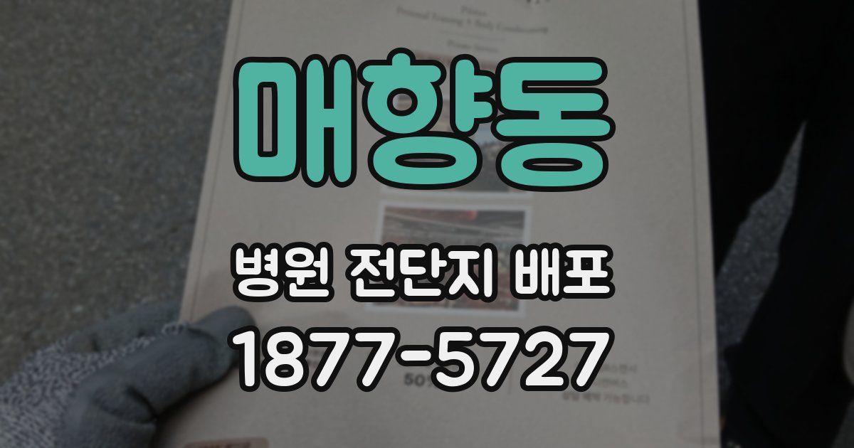 매향동 병원 전단지 배포