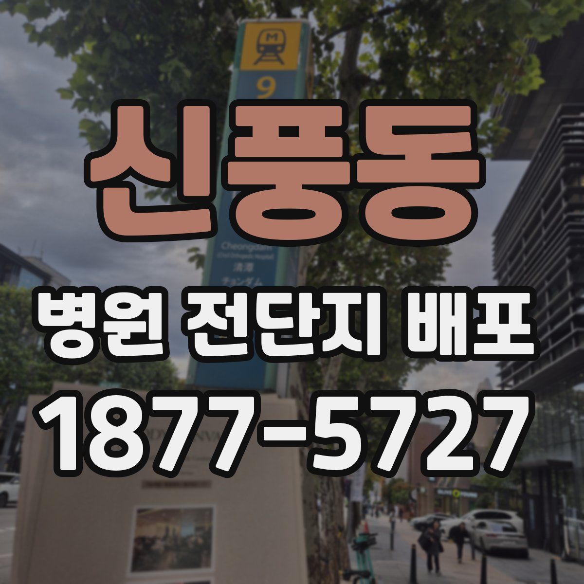 신풍동 병원 전단지 배포