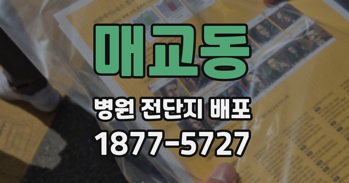 매교동 병원 전단지 배포