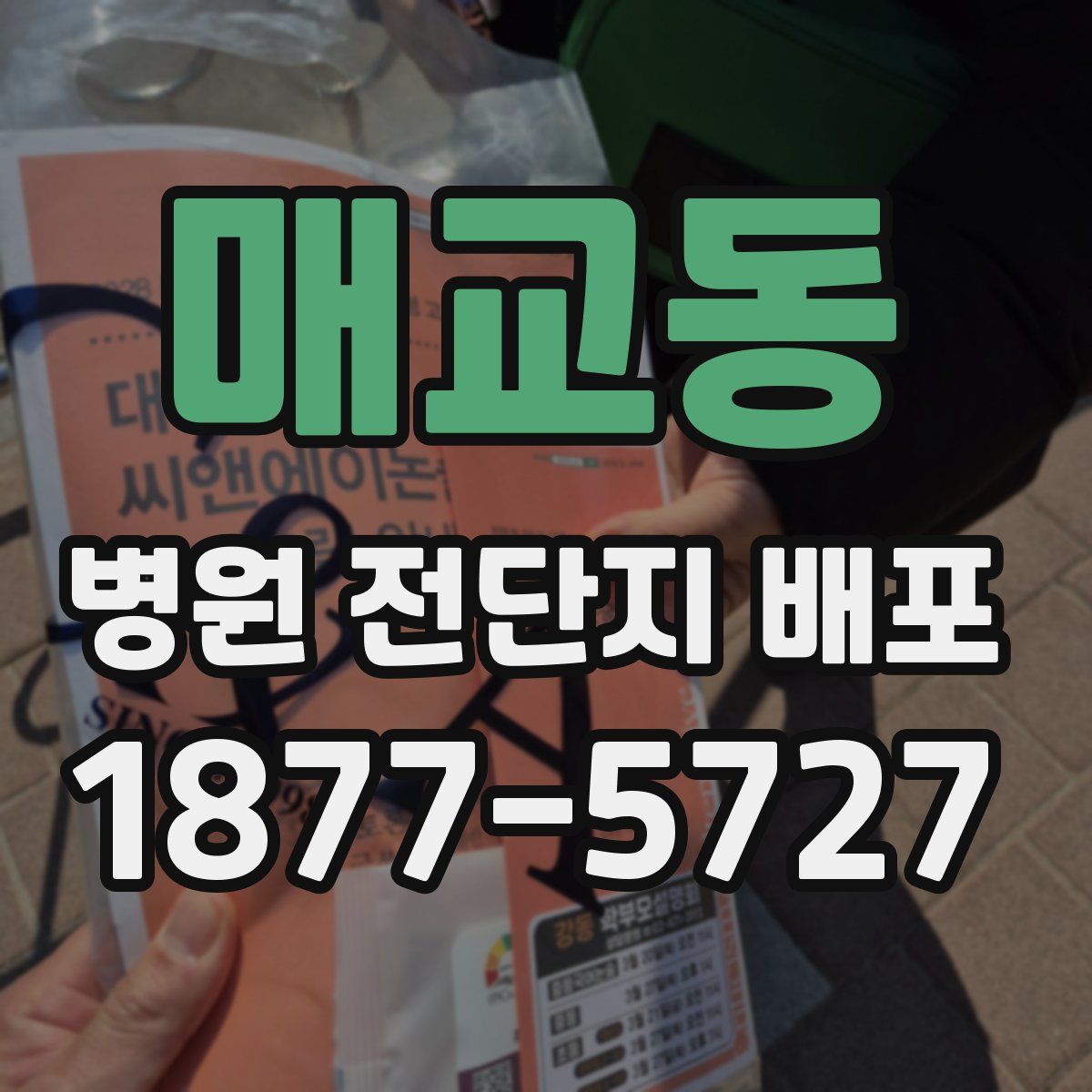 매교동 병원 전단지 배포