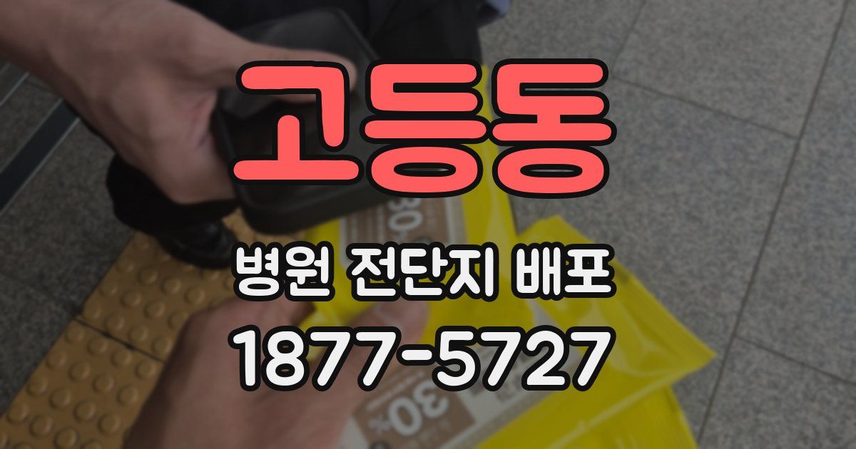 고등동 병원 전단지 배포