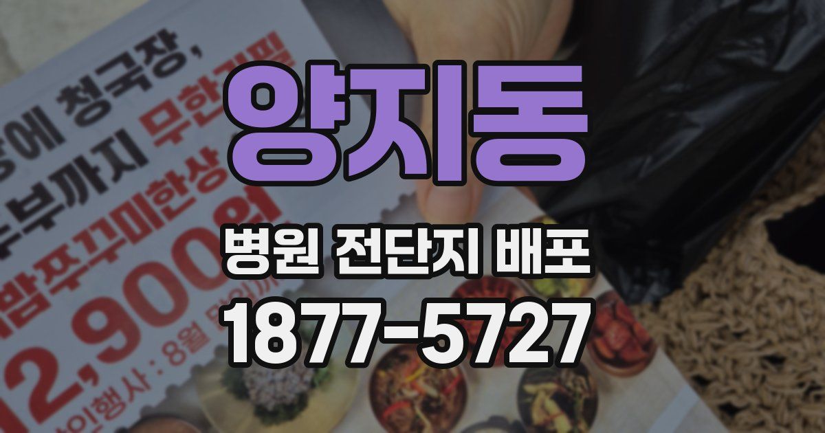 양지동 병원 전단지 배포