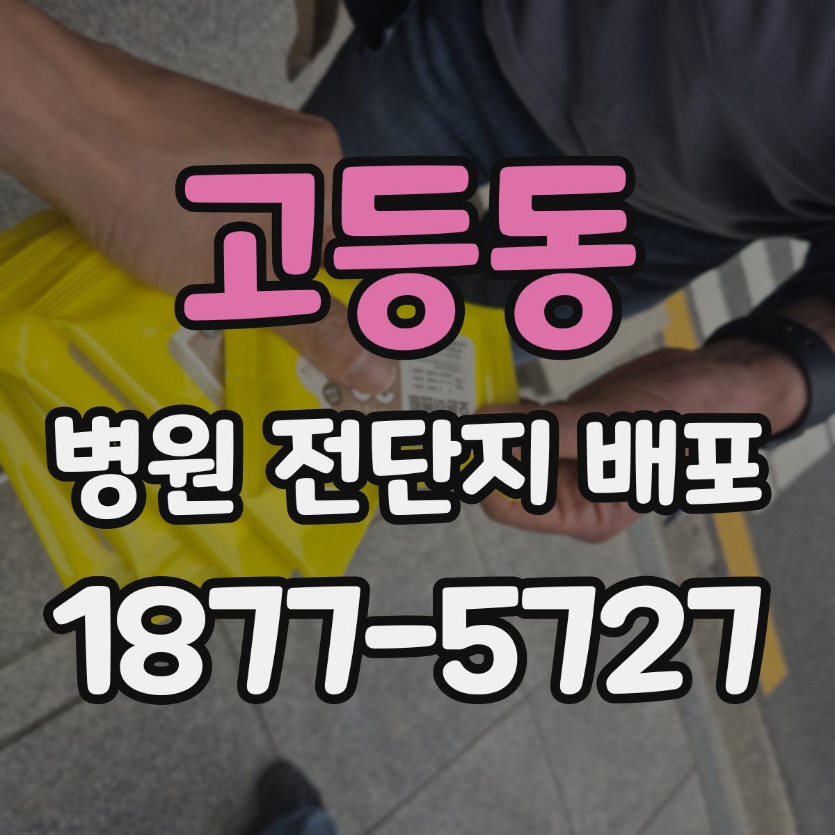 고등동 병원 전단지 배포