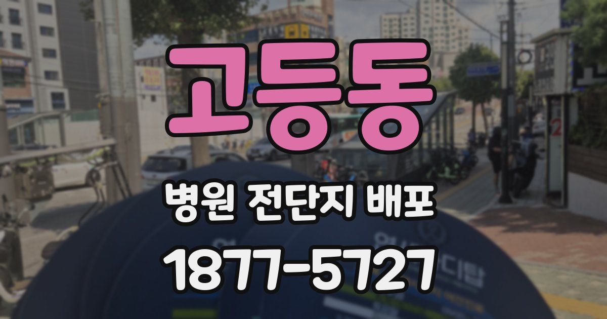 고등동 병원 전단지 배포