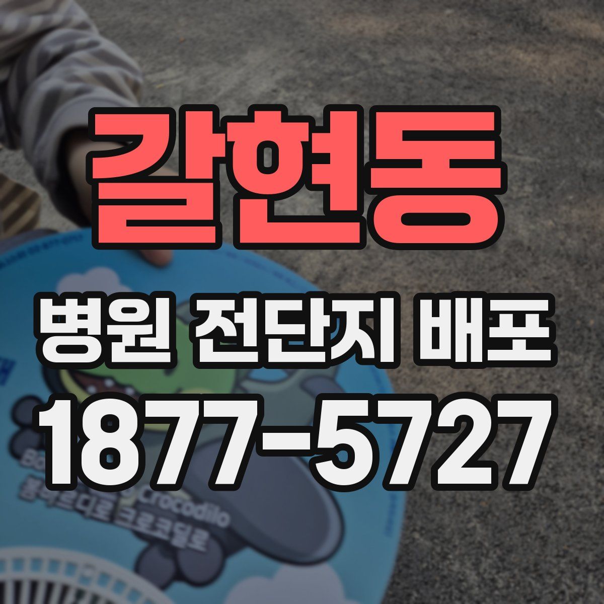 갈현동 병원 전단지 배포