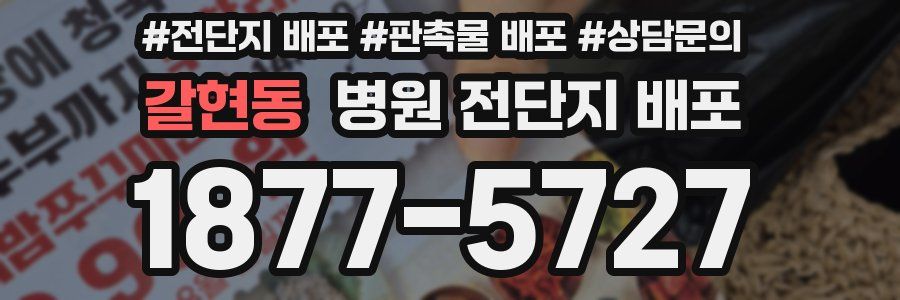 갈현동 병원 전단지 배포