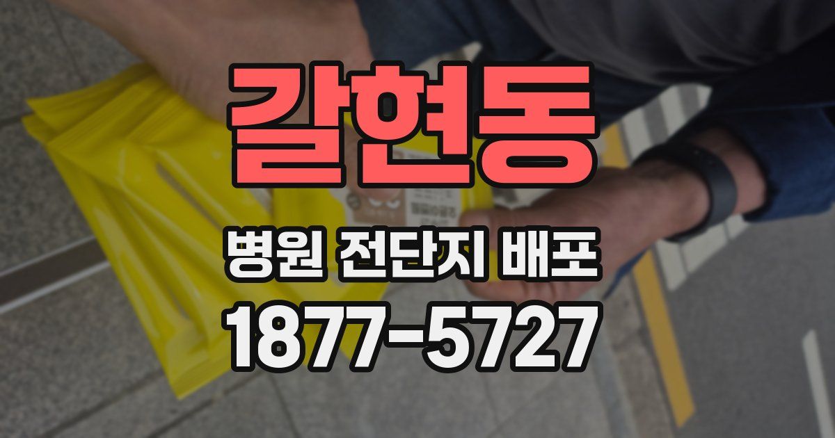 갈현동 병원 전단지 배포
