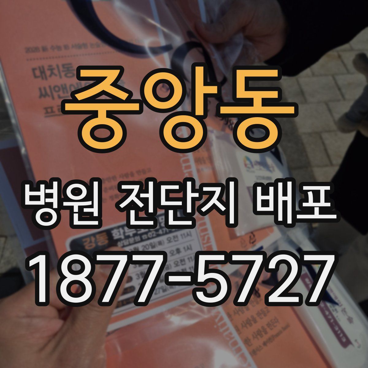 중앙동 병원 전단지 배포