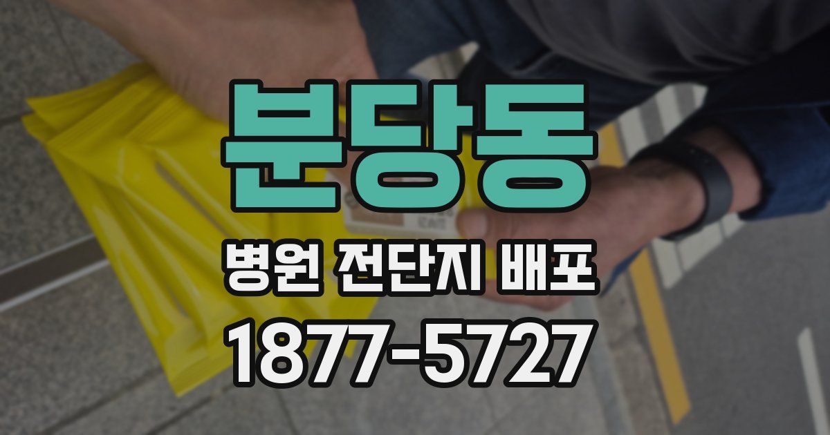 분당동 병원 전단지 배포