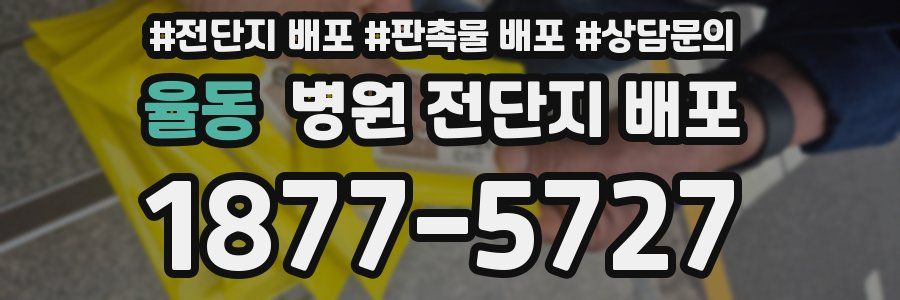 율동 병원 전단지 배포
