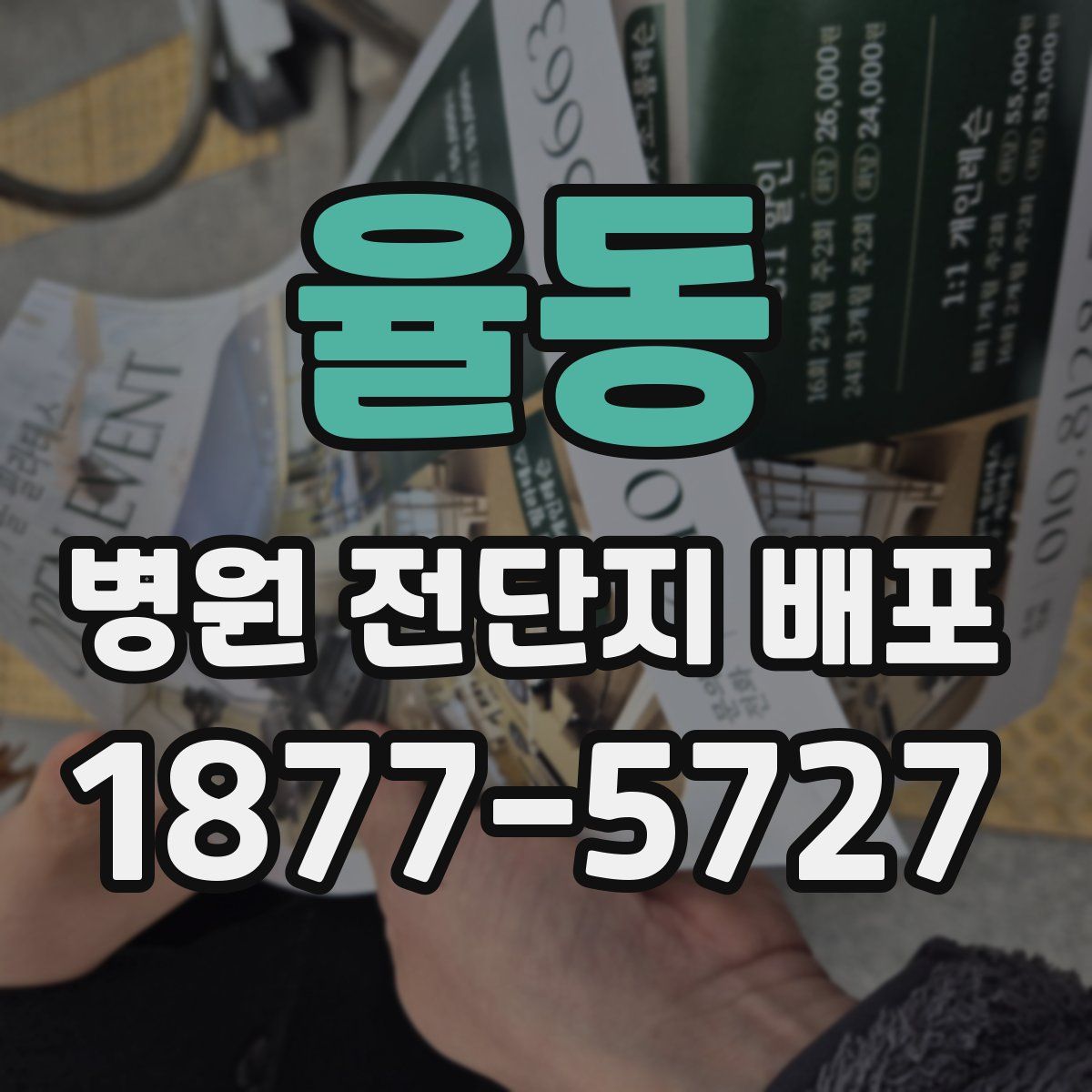 율동 병원 전단지 배포