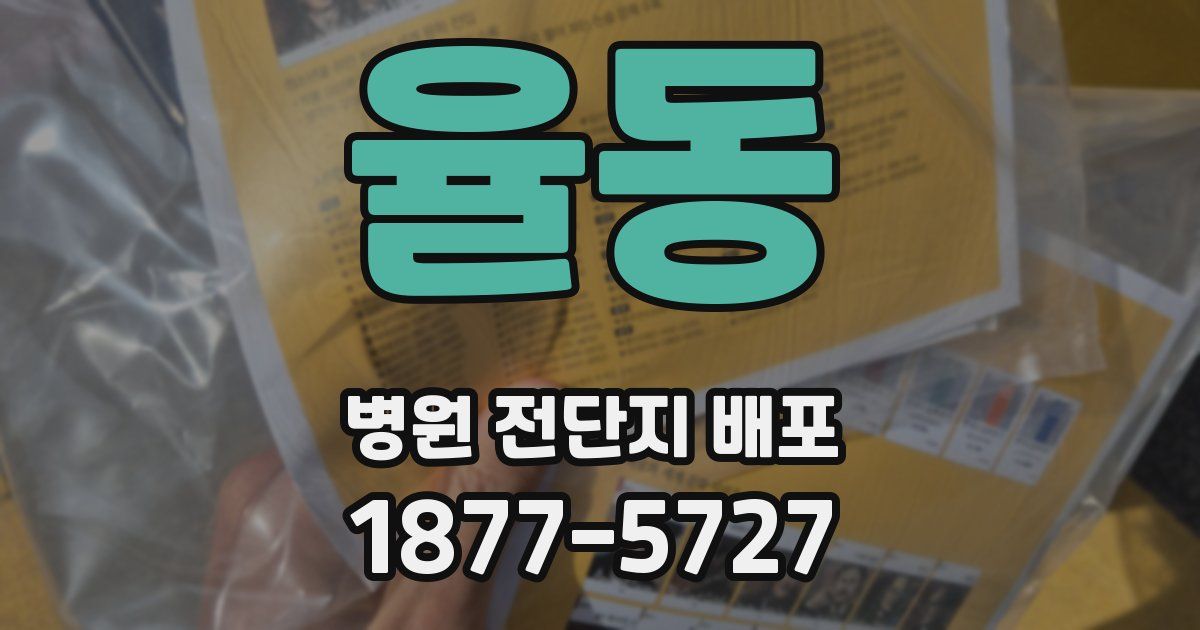 율동 병원 전단지 배포