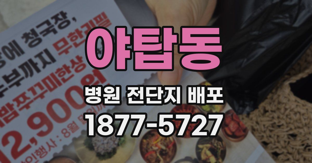 야탑동 병원 전단지 배포