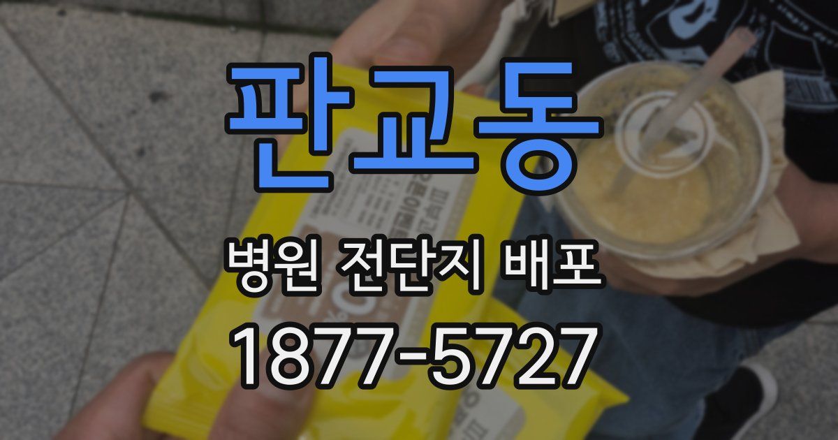 판교동 병원 전단지 배포