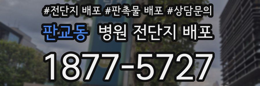 판교동 병원 전단지 배포