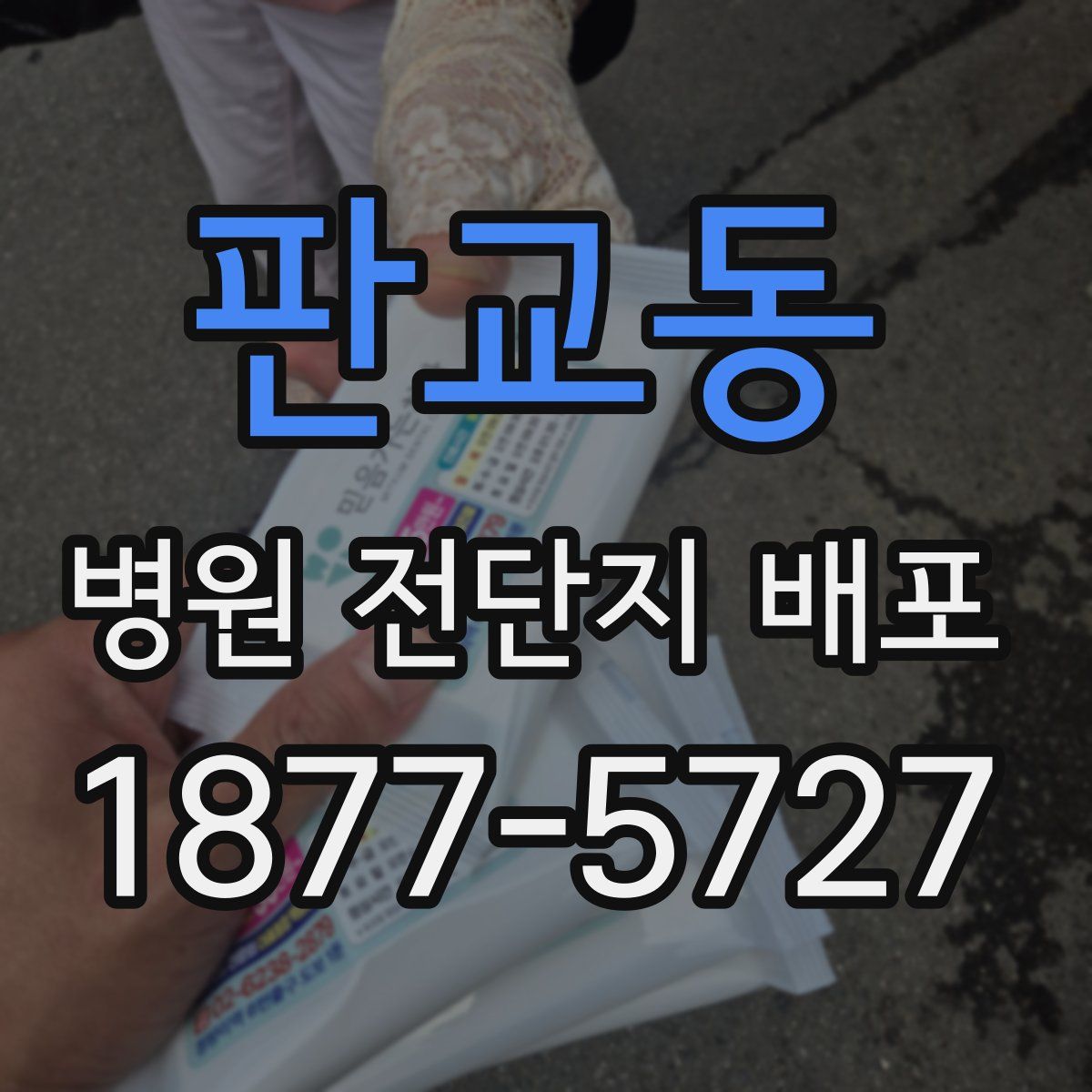 판교동 병원 전단지 배포
