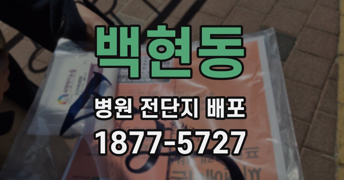 백현동 병원 전단지 배포