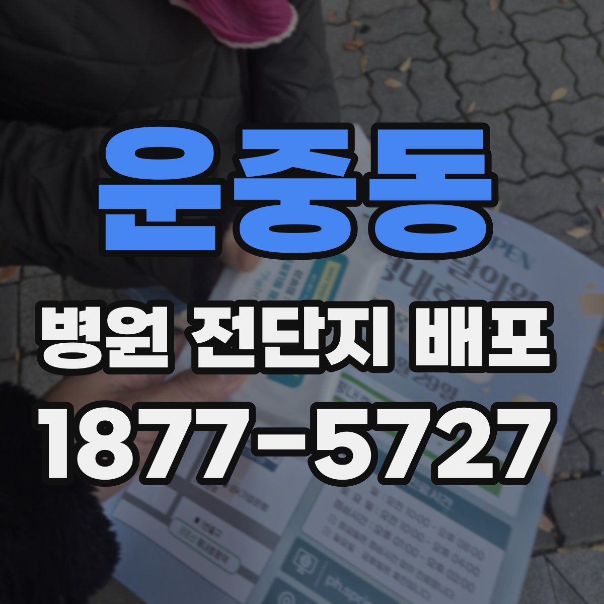운중동 병원 전단지 배포
