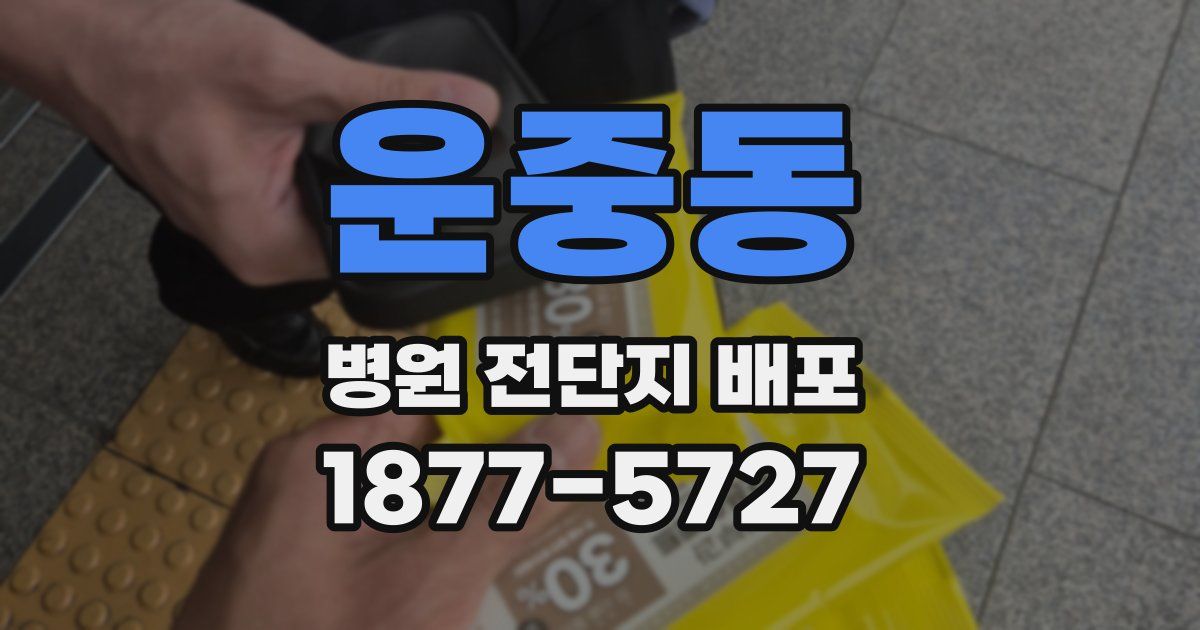 운중동 병원 전단지 배포