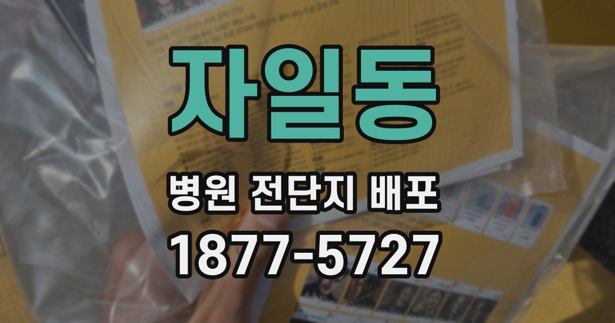 자일동 병원 전단지 배포