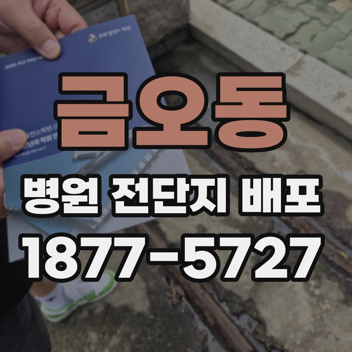 금오동 병원 전단지 배포