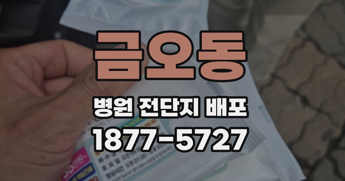 금오동 병원 전단지 배포