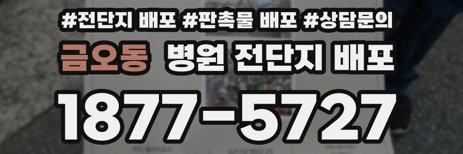 금오동 병원 전단지 배포
