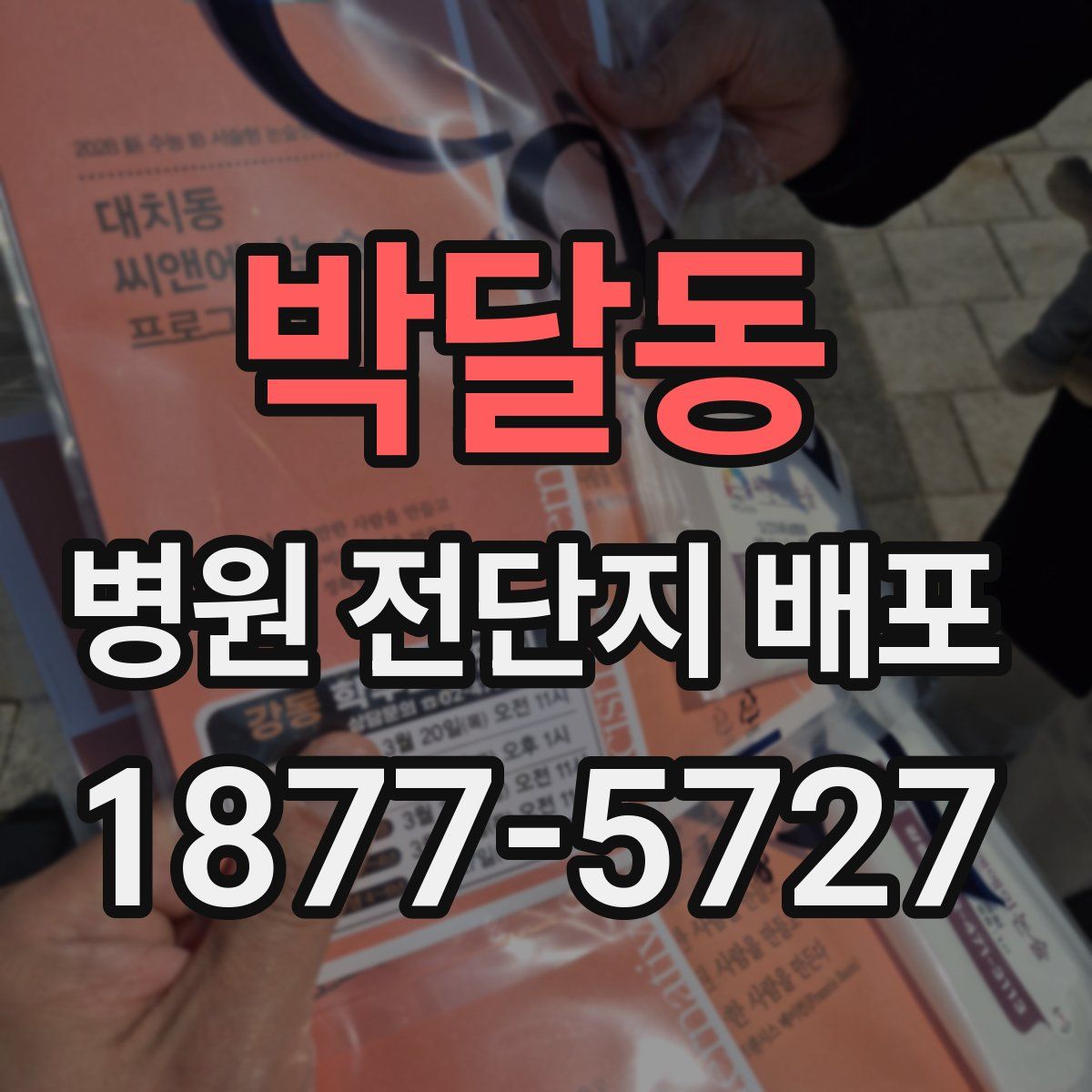 박달동 병원 전단지 배포