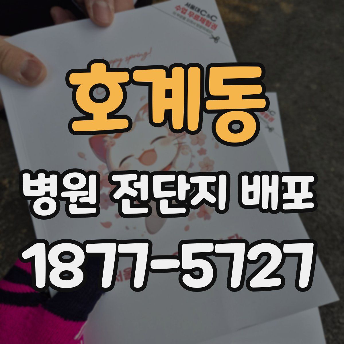 호계동 병원 전단지 배포