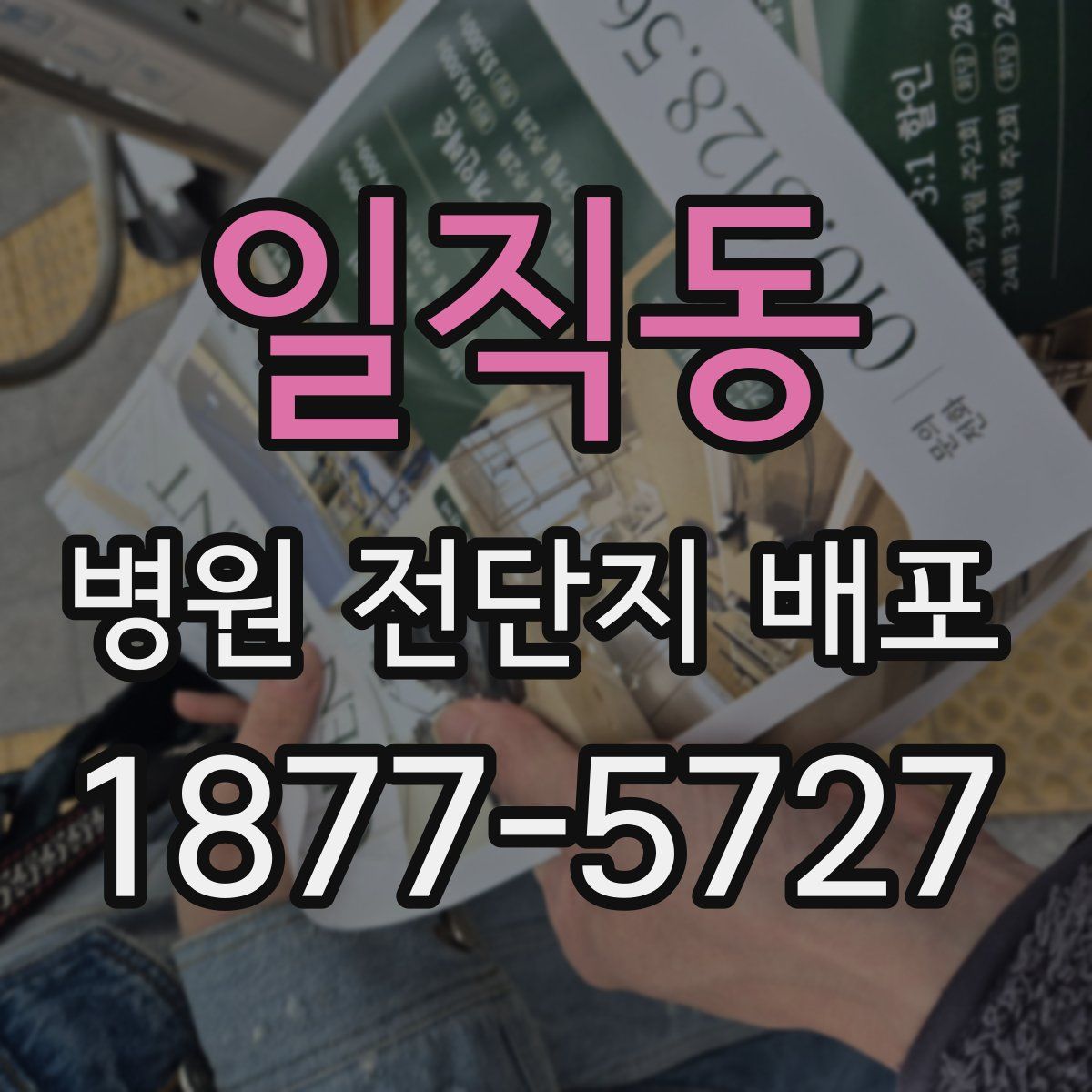 일직동 병원 전단지 배포