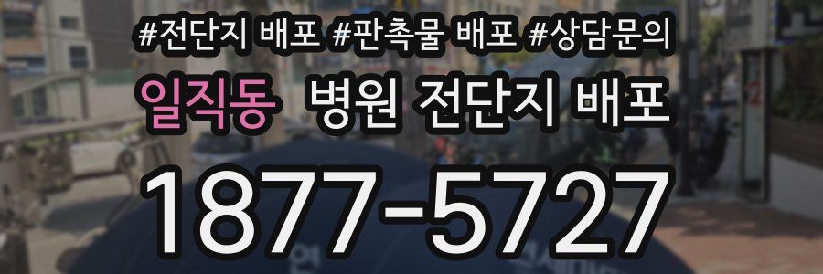 일직동 병원 전단지 배포