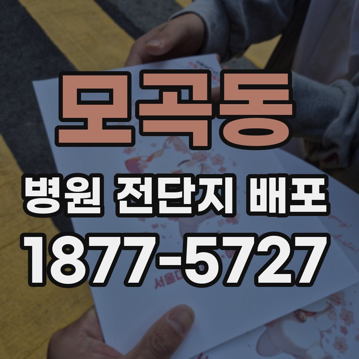 모곡동 병원 전단지 배포