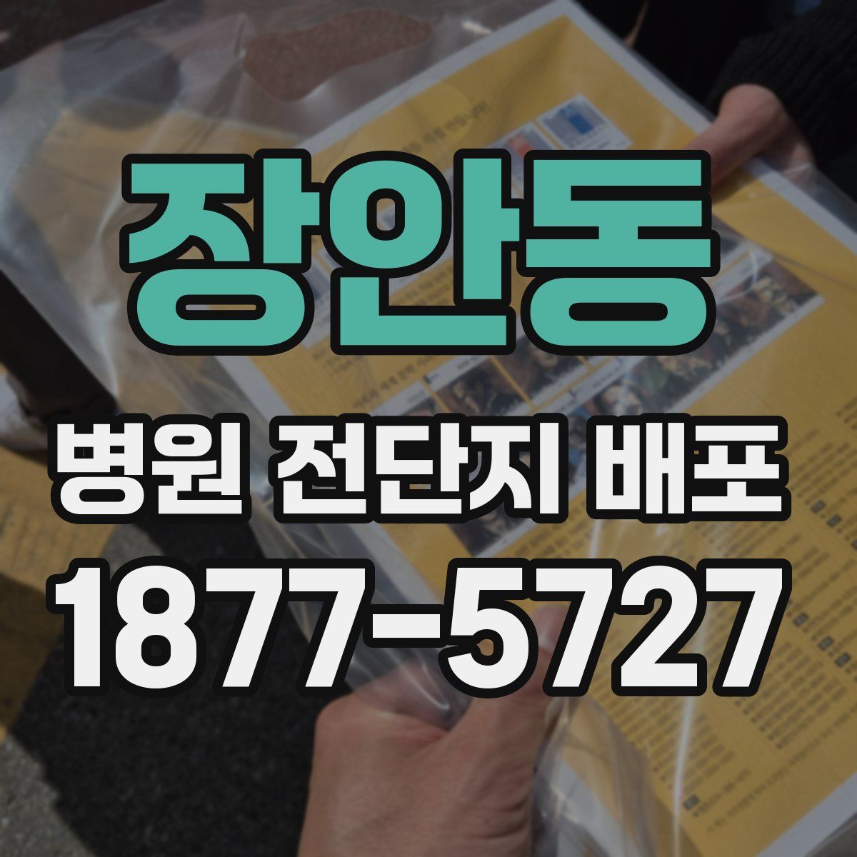 장안동 병원 전단지 배포