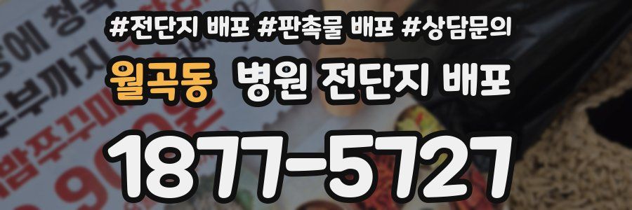 월곡동 병원 전단지 배포