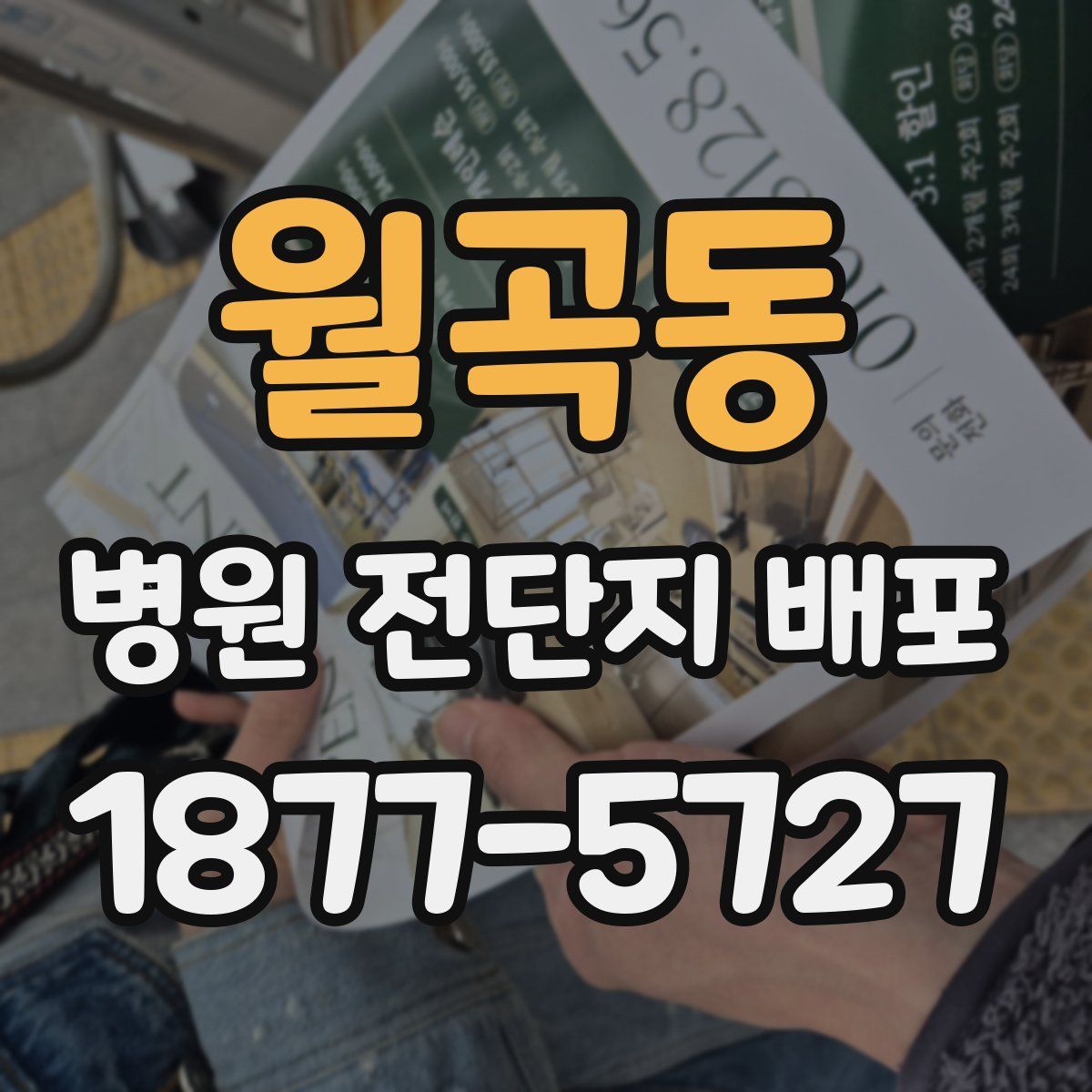 월곡동 병원 전단지 배포