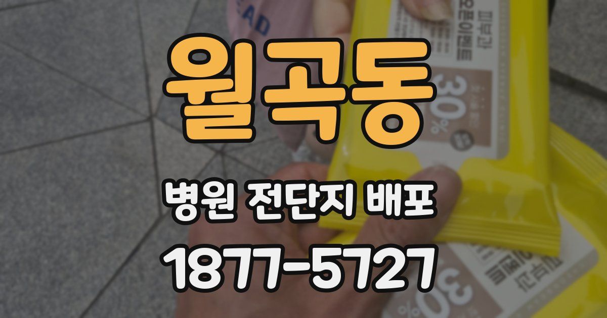 월곡동 병원 전단지 배포