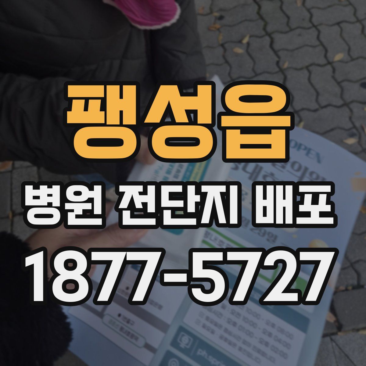 팽성읍 병원 전단지 배포