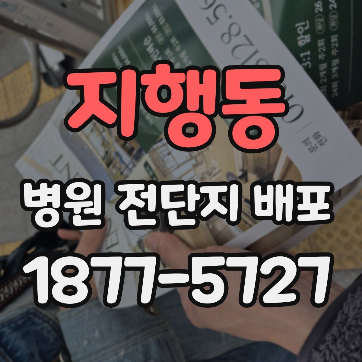 지행동 병원 전단지 배포