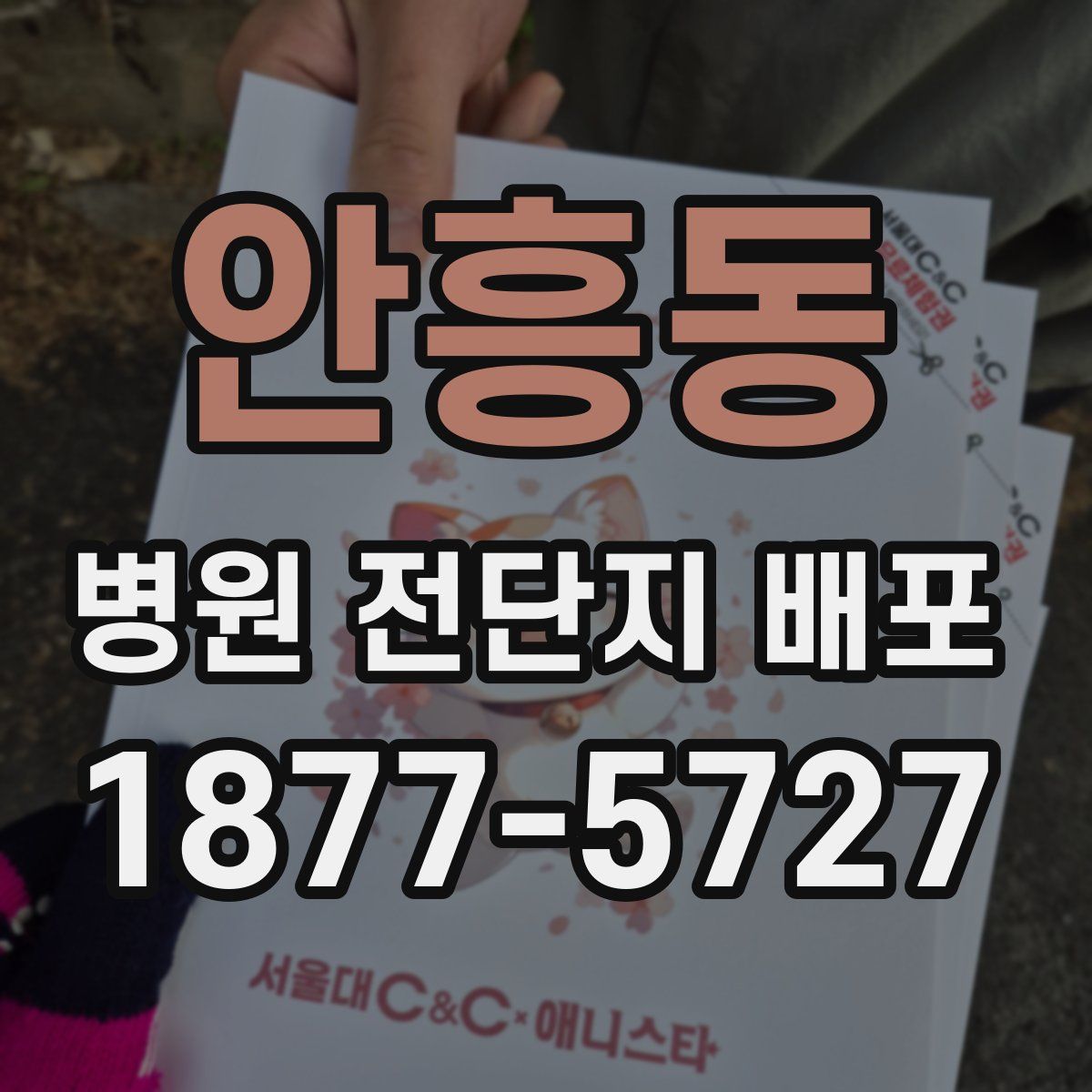 안흥동 병원 전단지 배포
