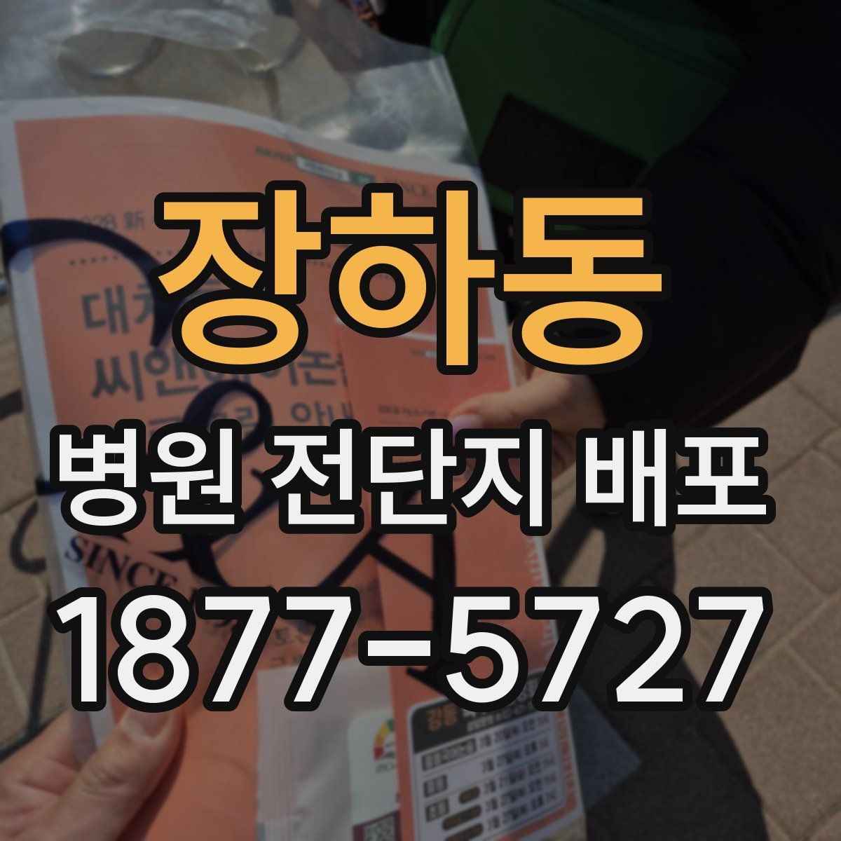 장하동 병원 전단지 배포