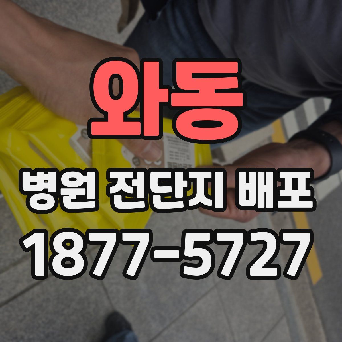 와동 병원 전단지 배포