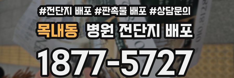 목내동 병원 전단지 배포