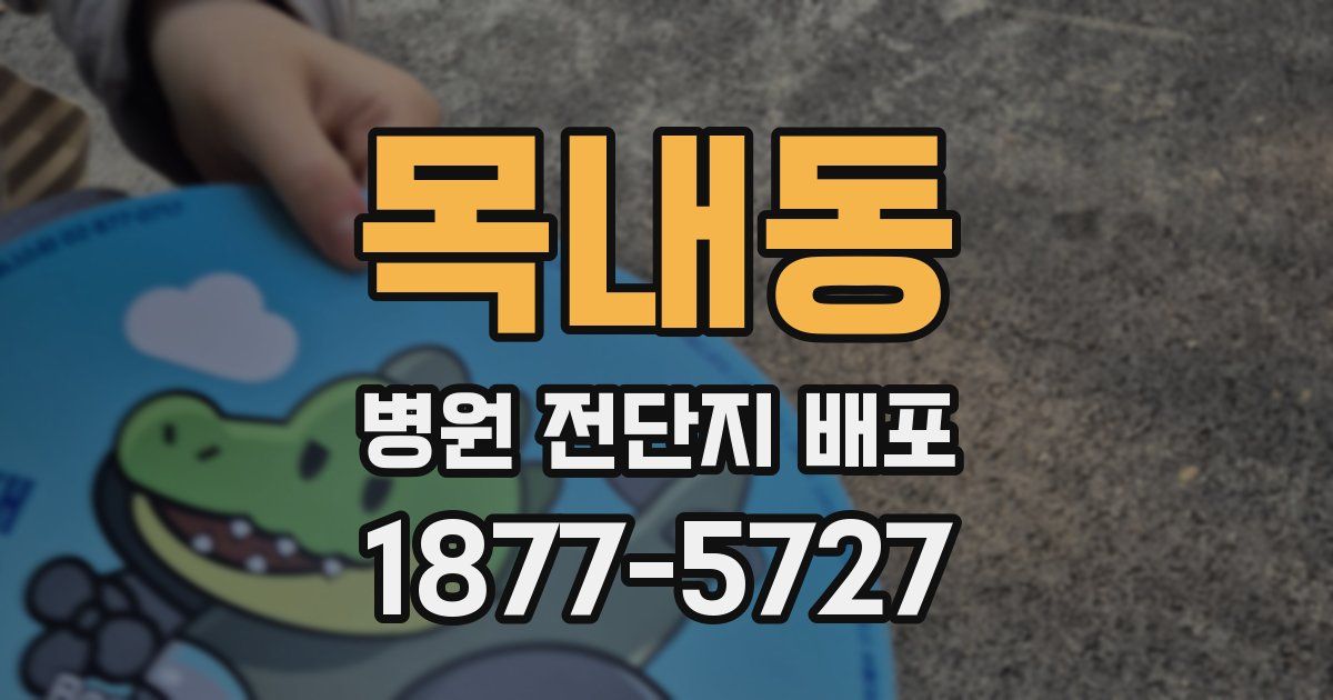 목내동 병원 전단지 배포