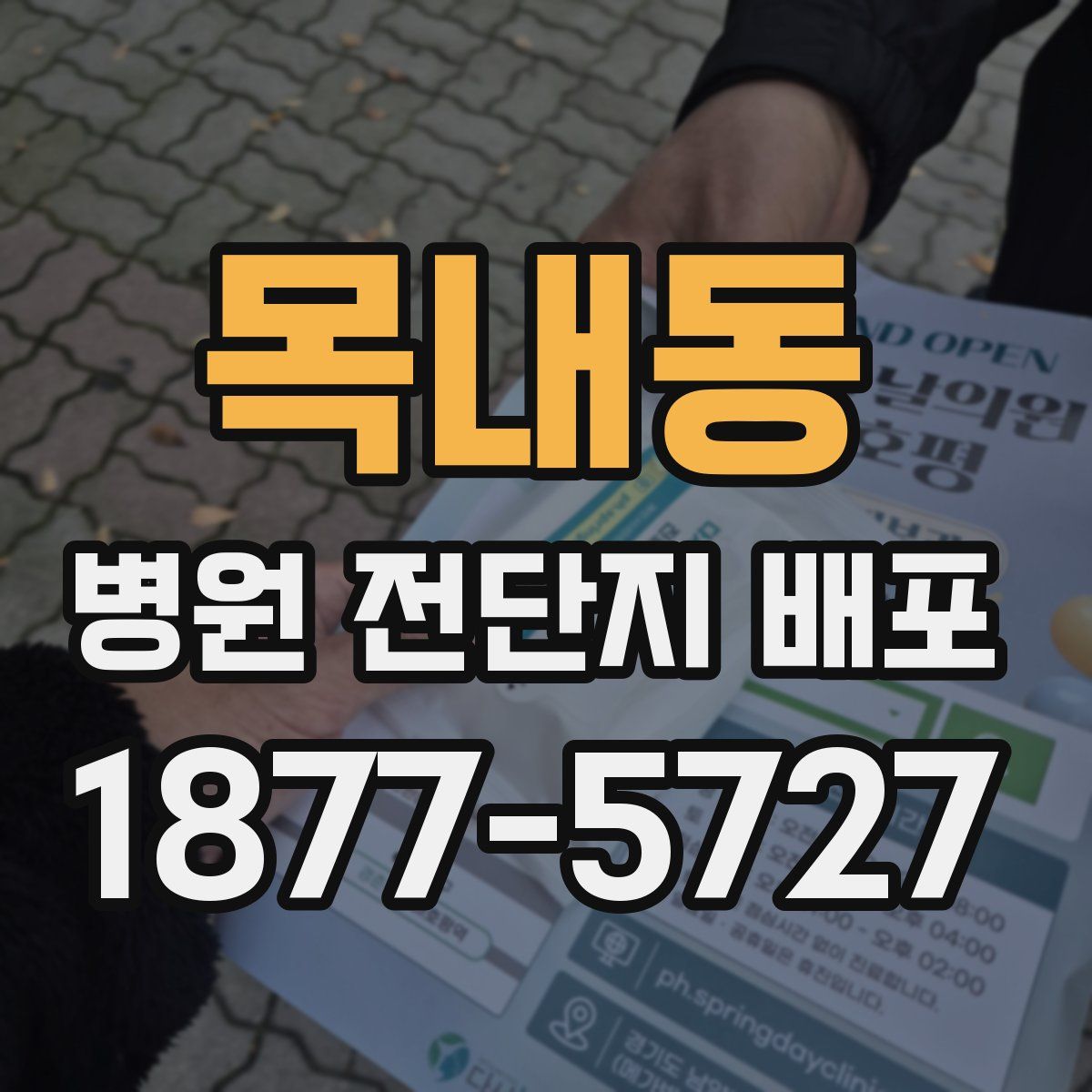 목내동 병원 전단지 배포