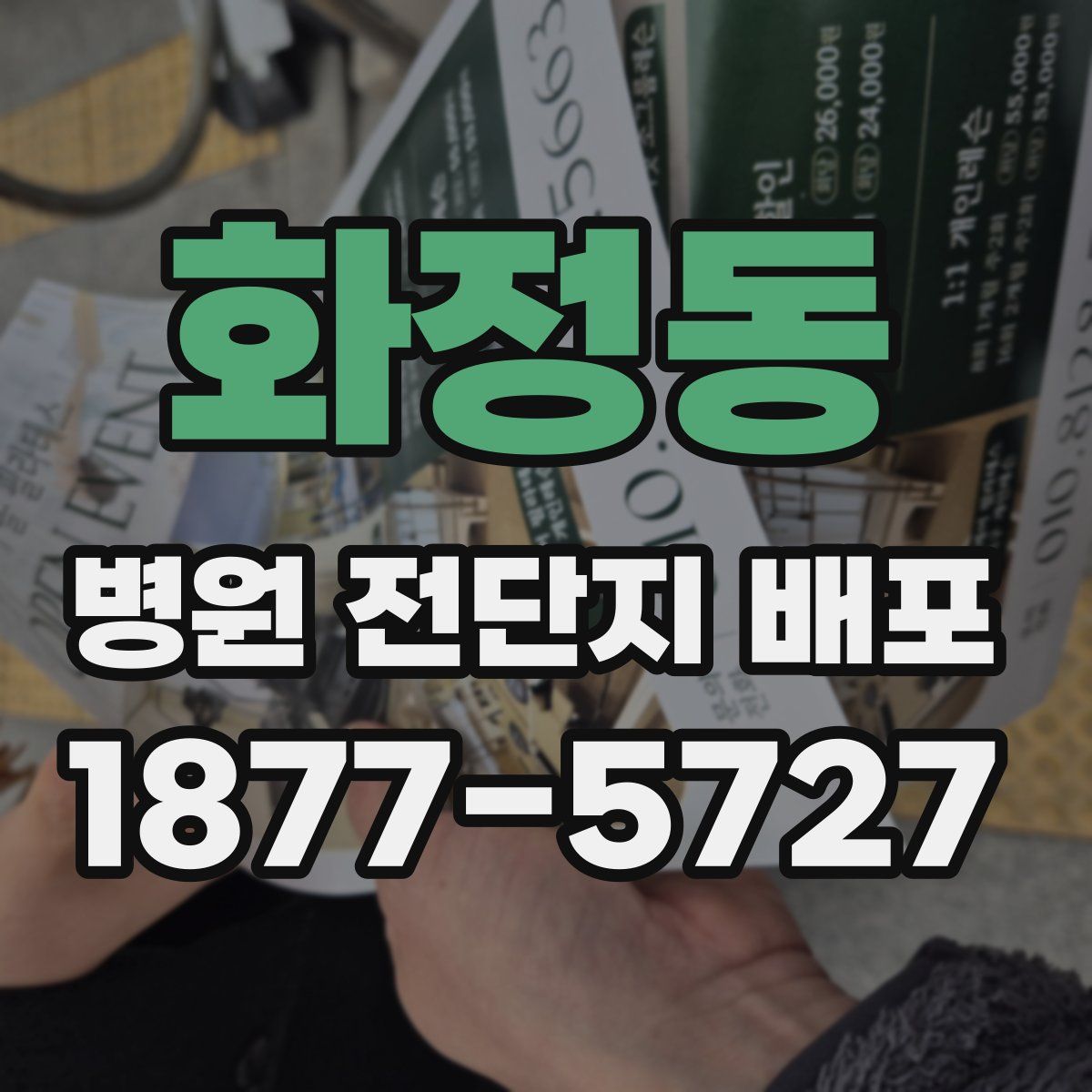 화정동 병원 전단지 배포