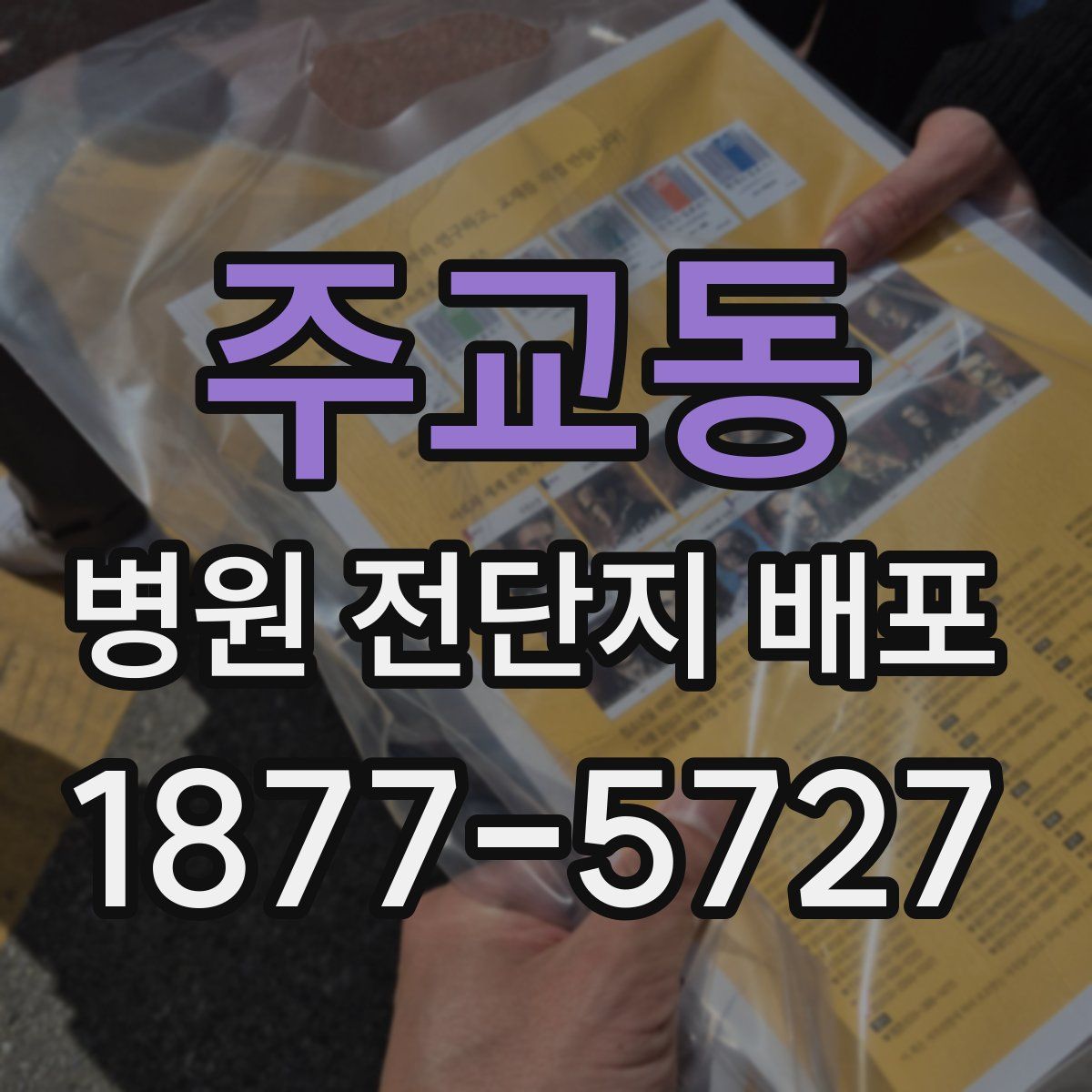 주교동 병원 전단지 배포